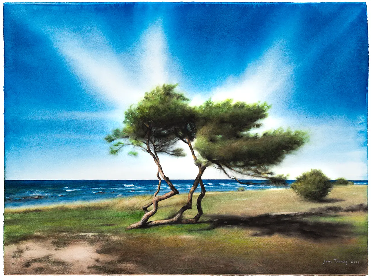 Beställd akvarellmålning i realistisk stil av ett vindpinat träd vid havet på Gotland